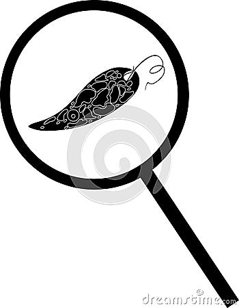 Black silhouette of Euglena viridis under magnifying glass Vector Illustration